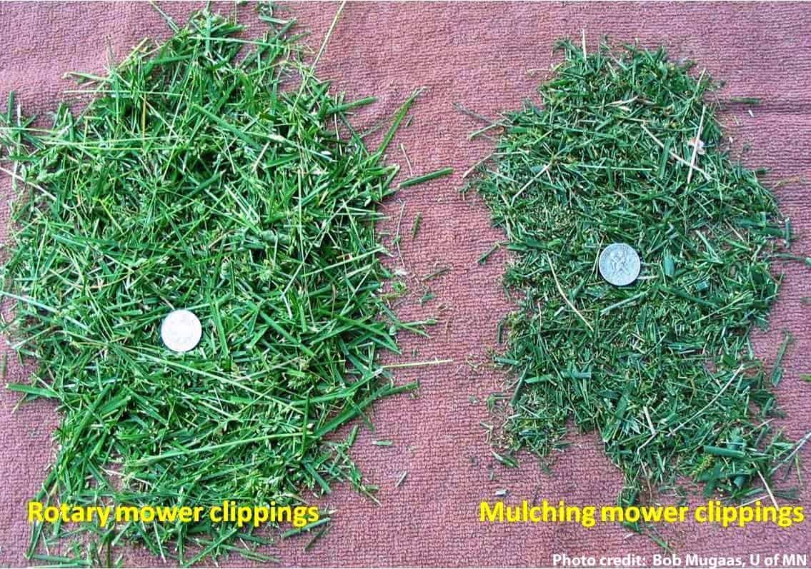 Rotary Mower Clippings and Mulching Mower Clippings