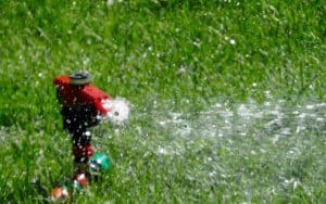 How Often Should I Water My Lawn?