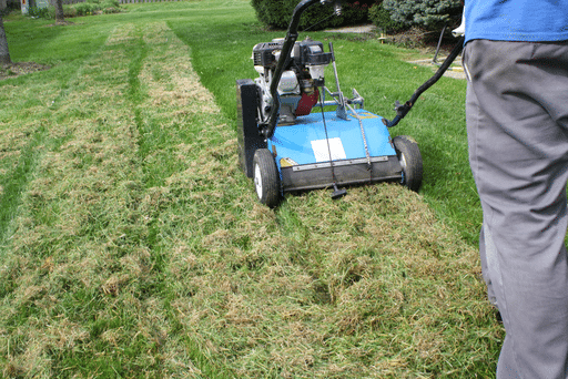 Motorized rake store