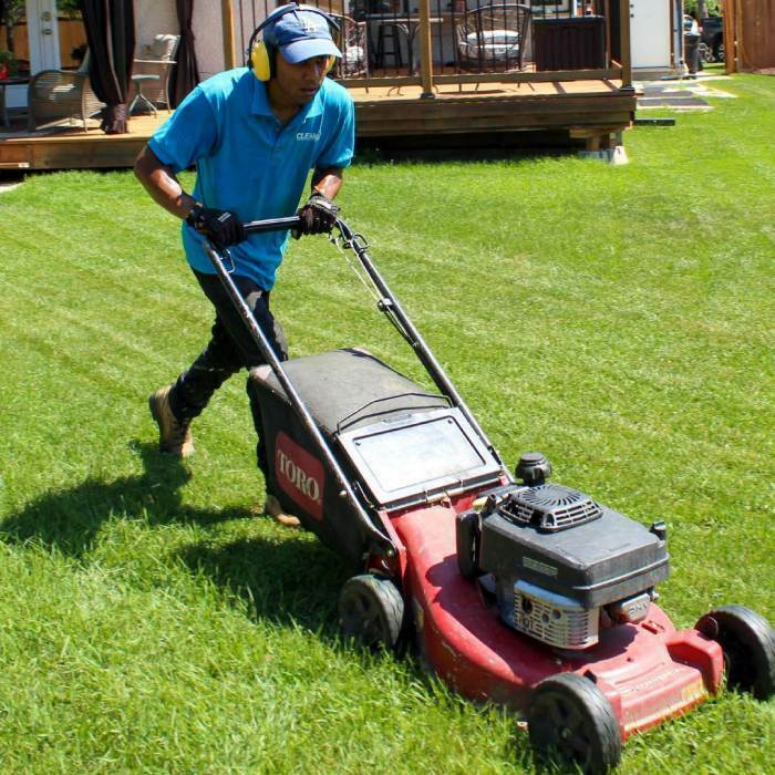 Winnipeg Lawn care