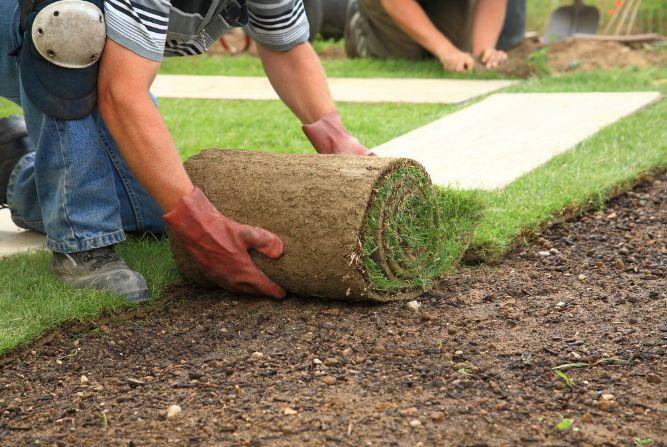 Newly Installed Sod