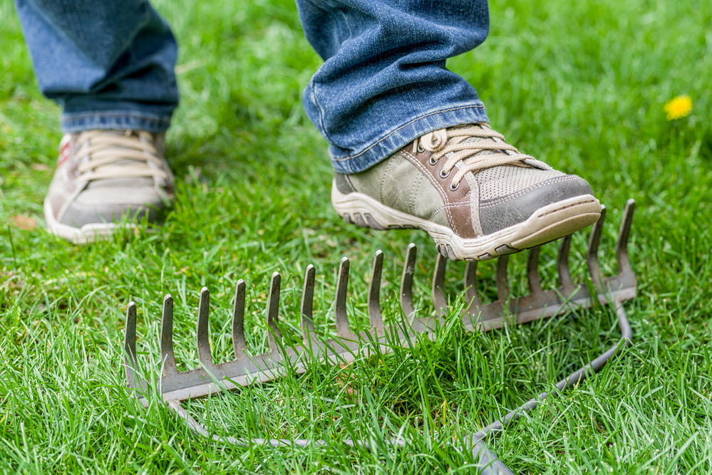 A man stepping accidentally on a rake