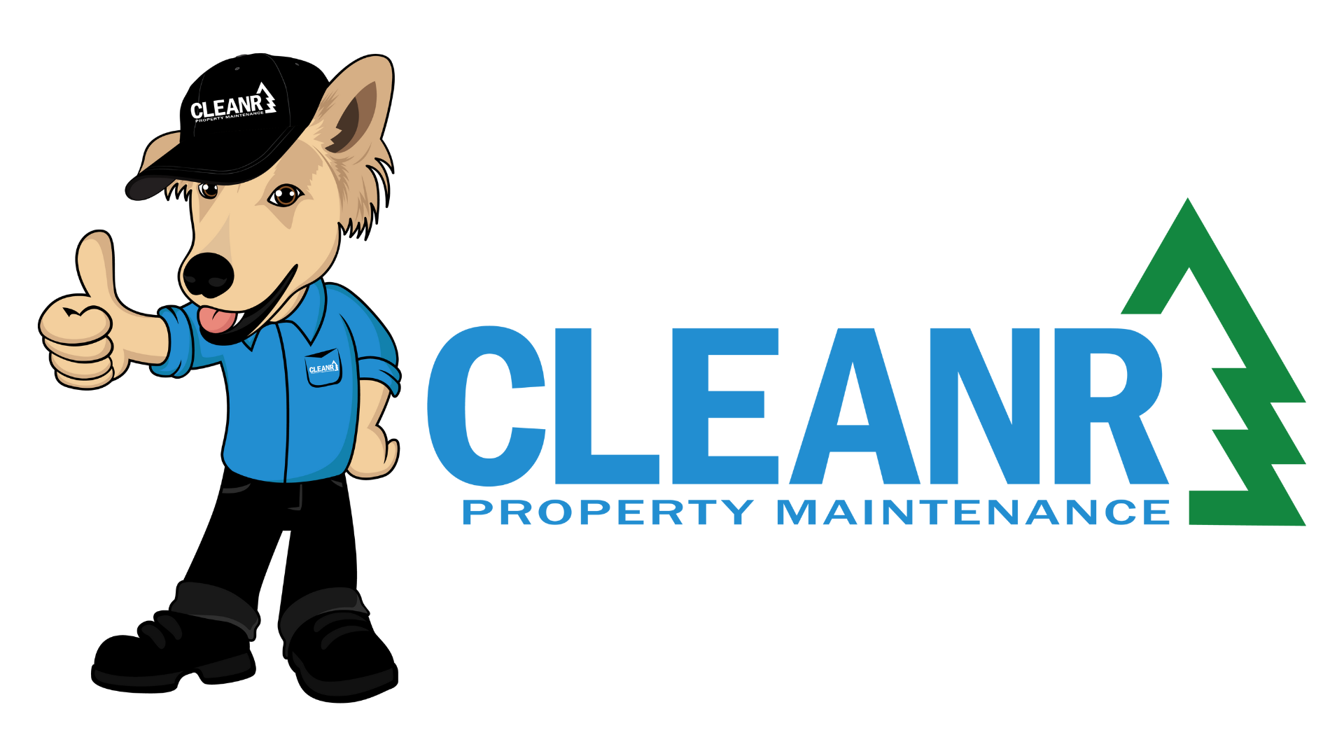 Cleanr's property logo