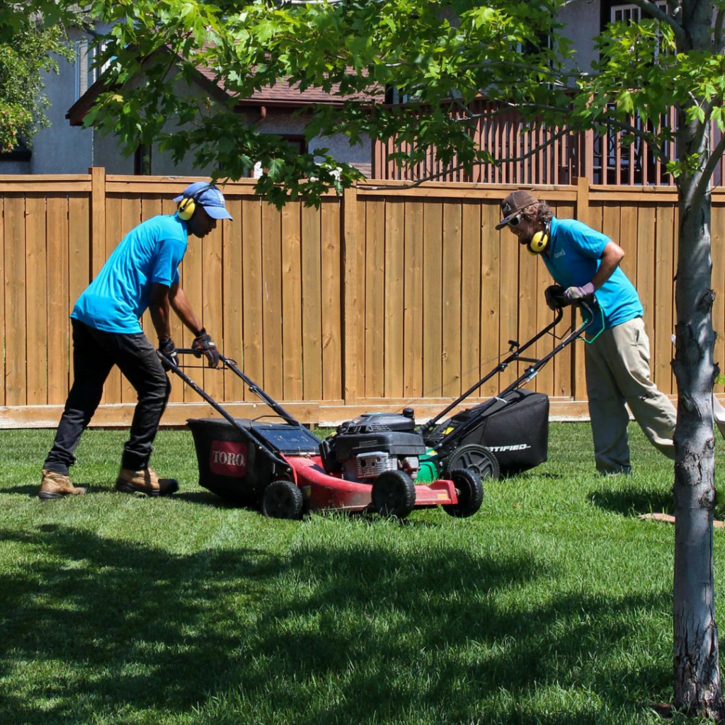 Two men in a blue shirt mowing a alwn