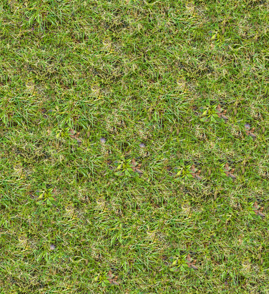 A grass with deep aeration