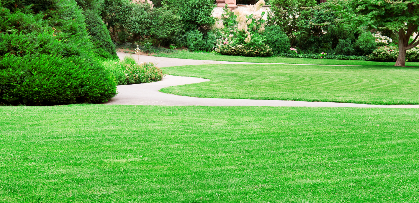 A sidewalk with fresh green grass