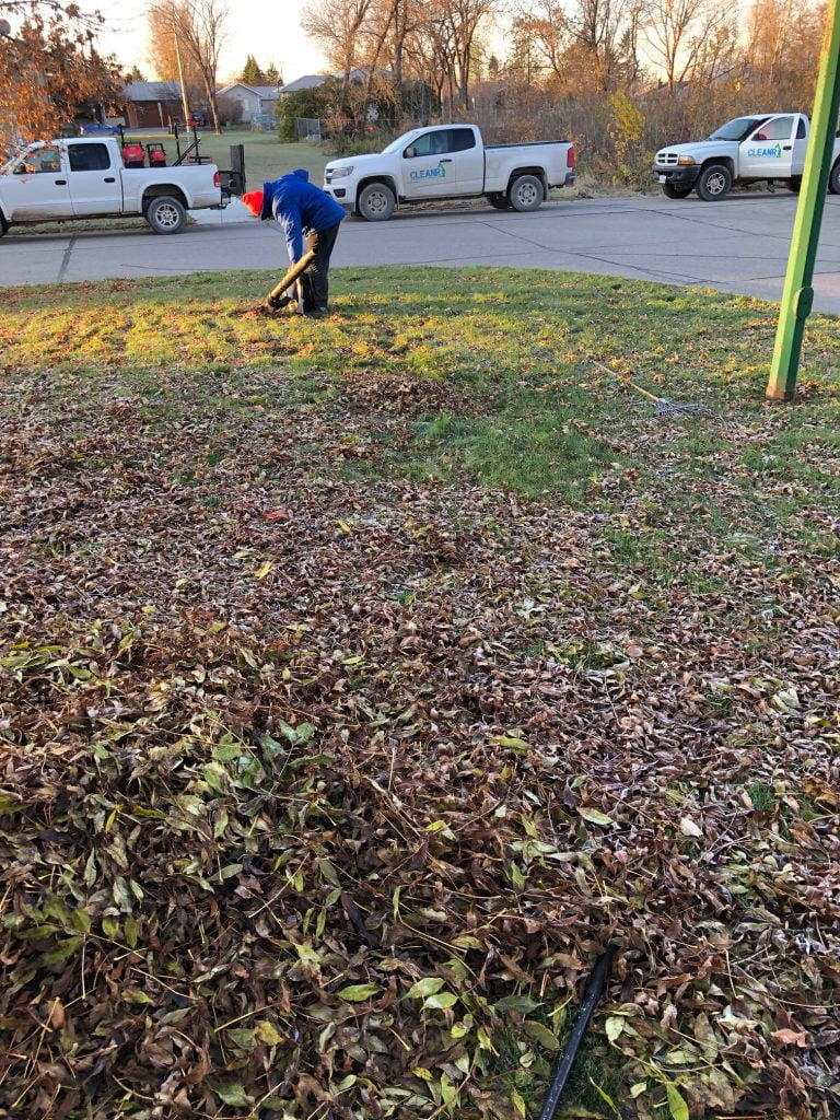 Man detaching and raking a lawn