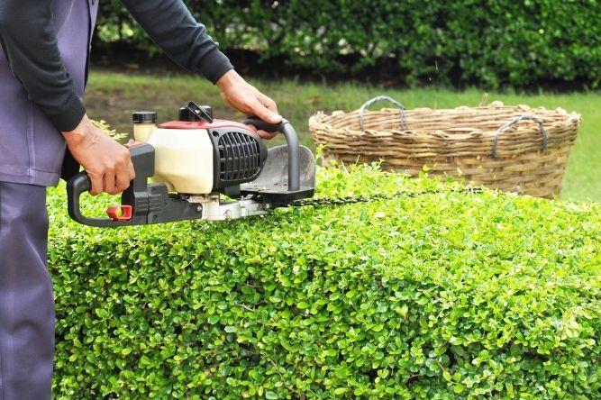 Man trimming a lawn