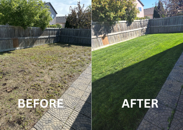 Before and after of cleanr top dressing