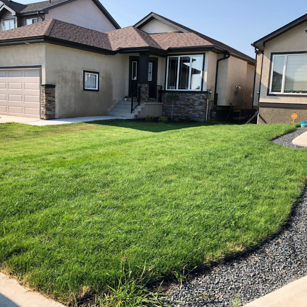 Winnipeg New Sod Installation