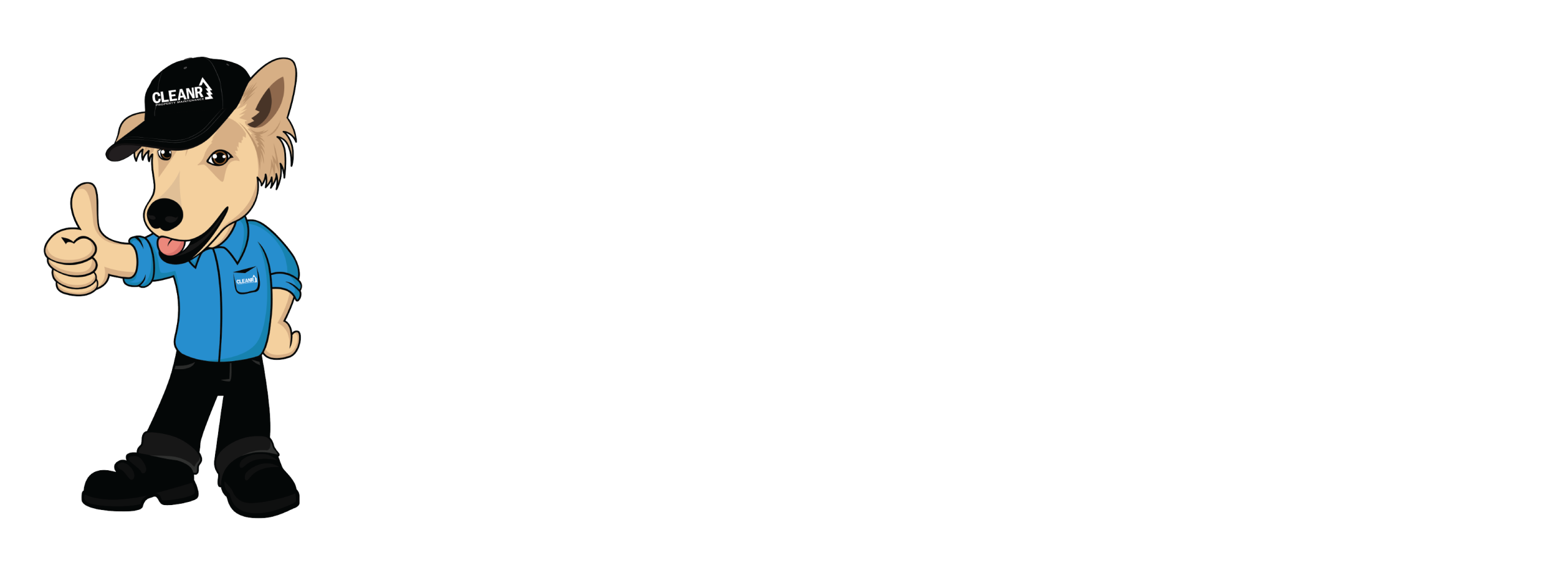 go cleanr mascot and logo