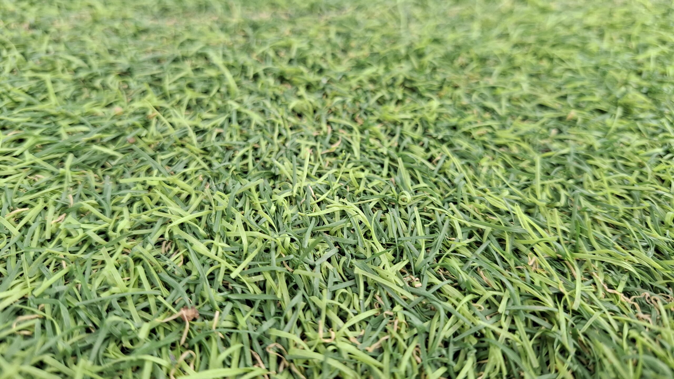 manual top dressing